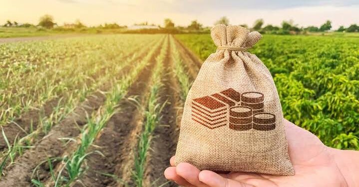 Manage Seasonal Farming Costs Using a Suitable Farm Loan Plan